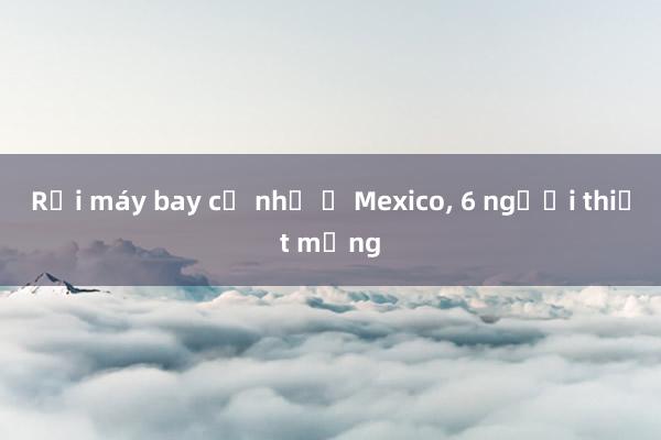 Rơi máy bay cỡ nhỏ ở Mexico， 6 người thiệt mạng