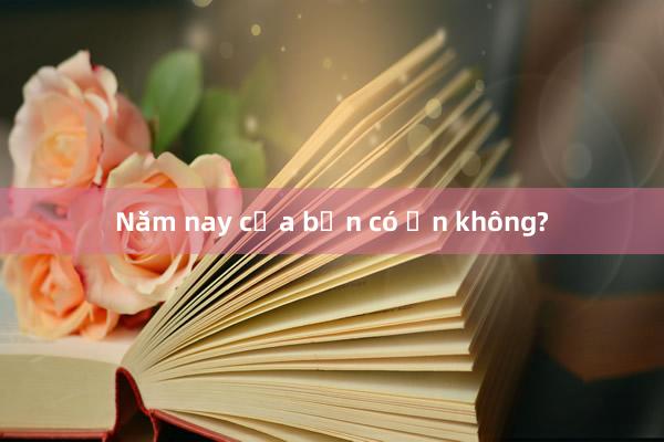 Năm nay của bạn có ổn không?