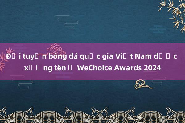 Đội tuyển bóng đá quốc gia Việt Nam được xướng tên ở WeChoice Awards 2024