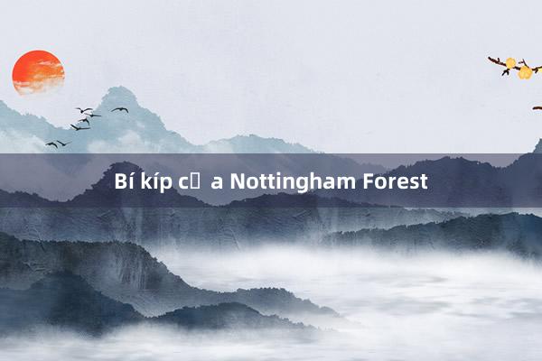 Bí kíp của Nottingham Forest