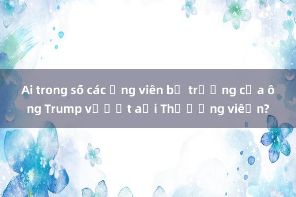 Ai trong số các ứng viên bộ trưởng của ông Trump vượt ải Thượng viện?