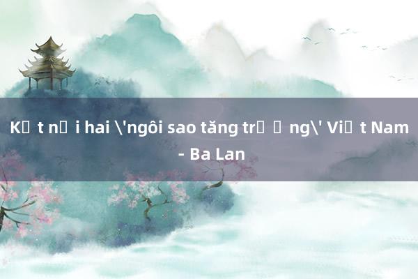 Kết nối hai 'ngôi sao tăng trưởng' Việt Nam - Ba Lan