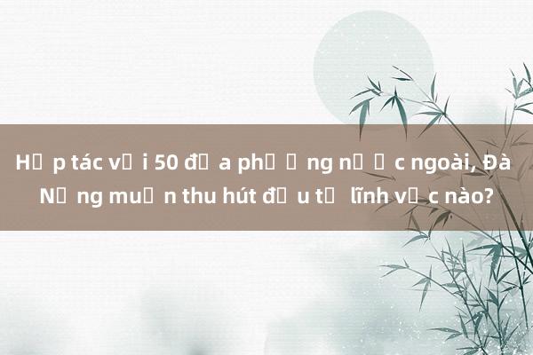 Hợp tác với 50 địa phương nước ngoài, Đà Nẵng muốn thu hút đầu tư lĩnh vực nào?