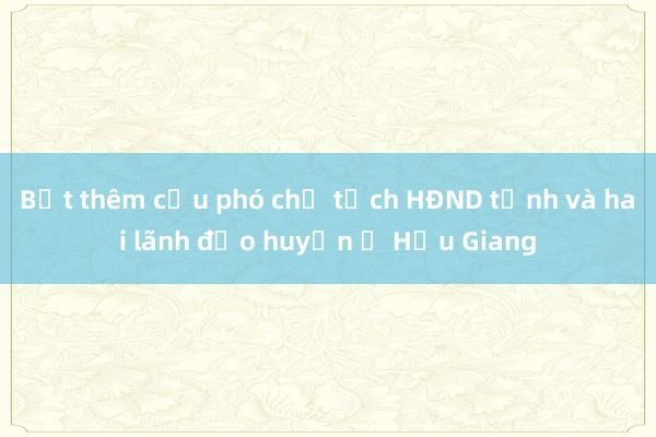 Bắt thêm cựu phó chủ tịch HĐND tỉnh và hai lãnh đạo huyện ở Hậu Giang