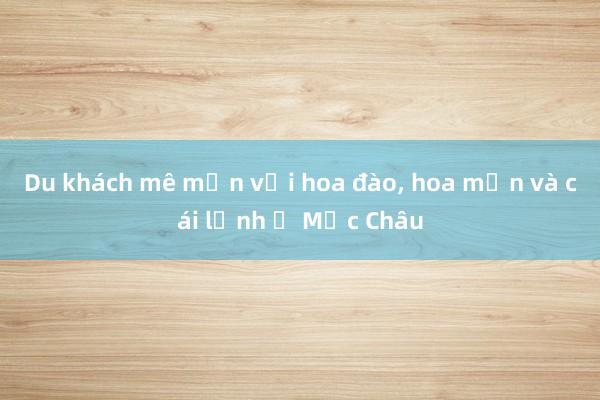 Du khách mê mẩn với hoa đào, hoa mận và cái lạnh ở Mộc Châu