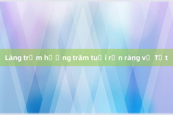 Làng trầm hương trăm tuổi rộn ràng vụ Tết