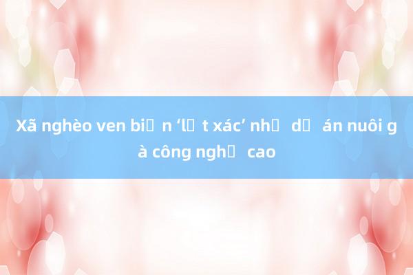 Xã nghèo ven biển ‘lột xác’ nhờ dự án nuôi gà công nghệ cao