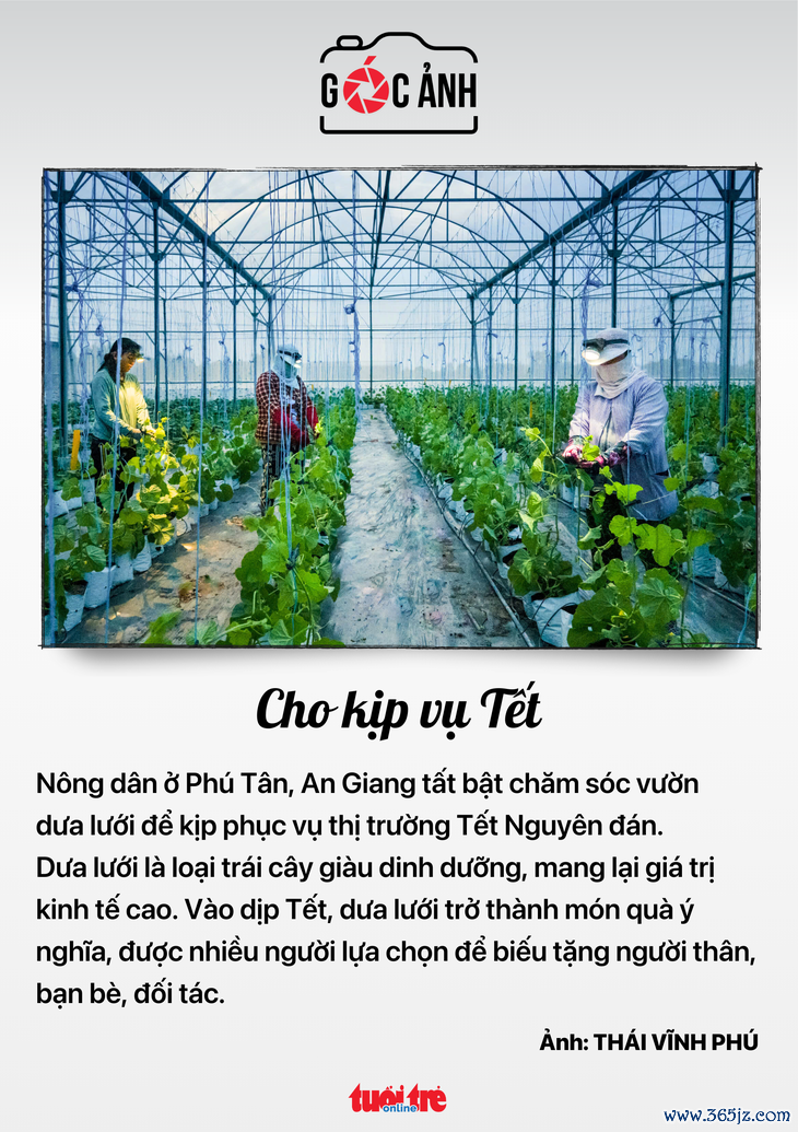 Tin tức sáng 21-1: TP.HCM thông xe cầu Tân Kỳ Tân Quý; Tổng giám đốc BĐS Phát Đạt bán sạch cổ phiếu - Ảnh 6.