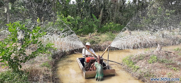 Xâm nhập mặn gia tăng ở miền Tây trong dịp Tết nguyên đán - Ảnh 1.