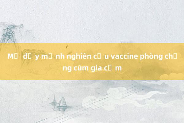 Mỹ đẩy mạnh nghiên cứu vaccine phòng chống cúm gia cầm